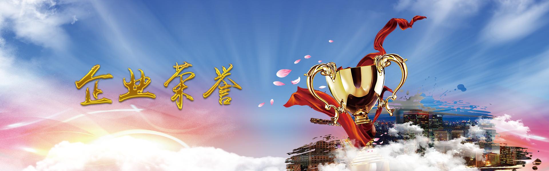 資質(zhì)榮譽 - 門戶網(wǎng)站